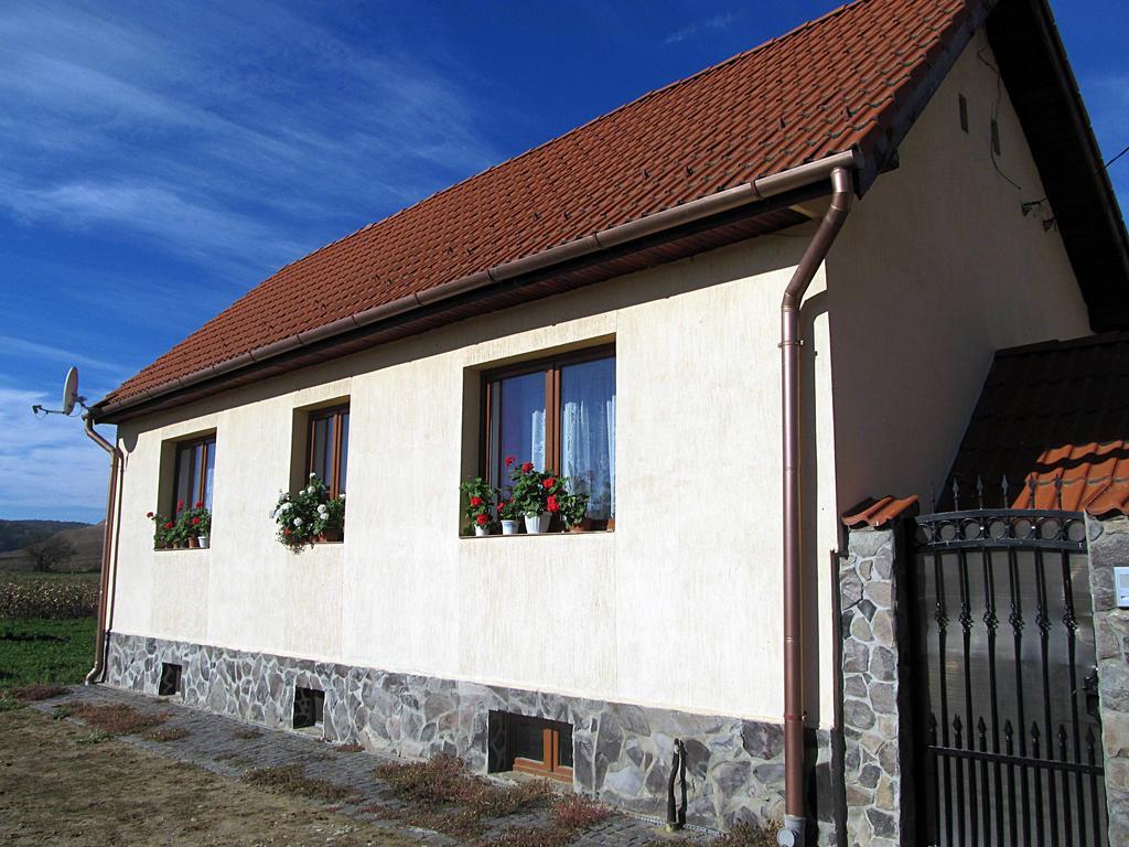 Villa Casa Simion Sibiu Esterno foto